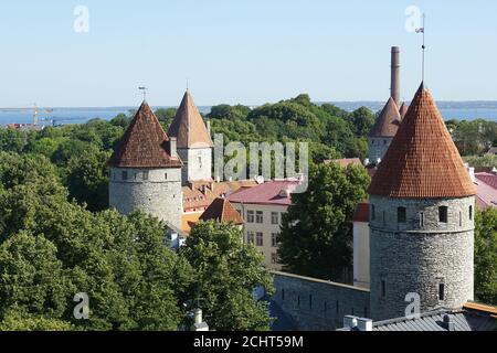 Mura cittadine con bastioni, Città Vecchia, Tallinn, Estonia, Europa Foto Stock