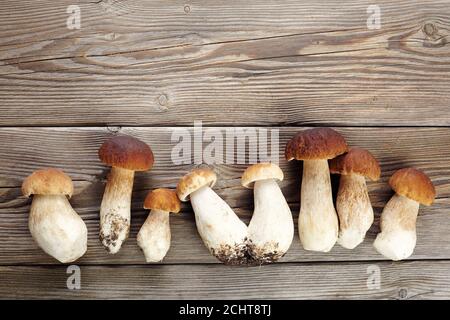 Funghi boletus su sfondo di legno. Funghi autunnali. Cibo Gourment Foto Stock