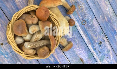 illustrazione 3d di funghi e accessori Foto Stock