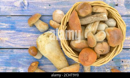 illustrazione 3d di funghi e accessori Foto Stock