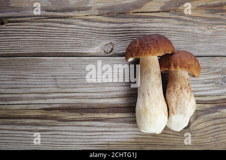 Funghi boletus su sfondo di legno. Funghi autunnali. Cibo Gourment Foto Stock