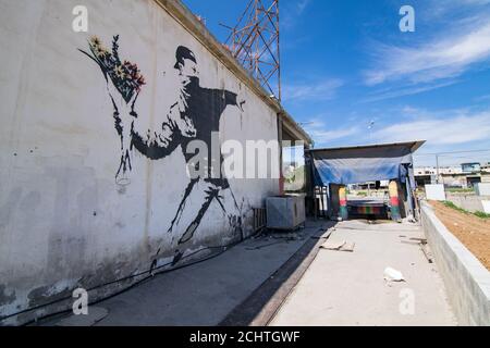 Il famoso murale di Banksy 'Rage, la Gola dei Fiori (l'amore è nell'aria)' che è dipinto su un autolavaggio in un sobborgo di Betlehem (Palestina) Foto Stock