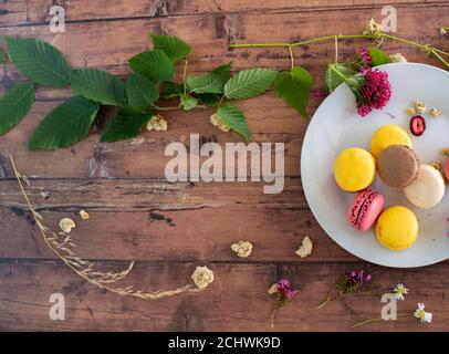 Macarons rosa e giallo su piastra bianca su legno superficie con frutti selvatici e fiori selvatici e muesli Foto Stock