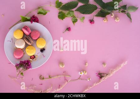 Macarons rosa e giallo su un piatto bianco su a. superficie rosa con frutti selvatici e fiori selvatici e muesli Foto Stock