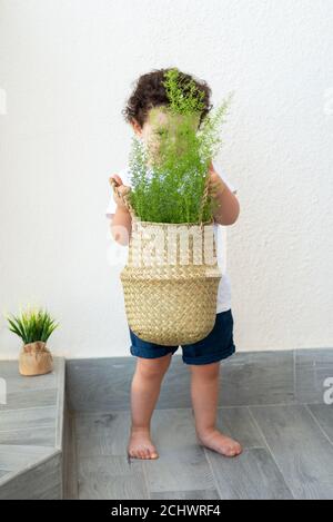Ragazzo tiene UNA pianta nelle sue braccia nel cortile. Focus su Basket con albero. Foto Stock