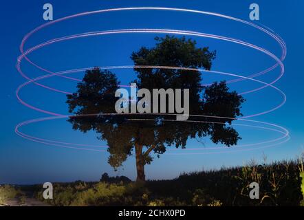 Silhouette di albero su sfondo cielo notturno con stelle. Con tracce di luce rotonde. Foto Stock