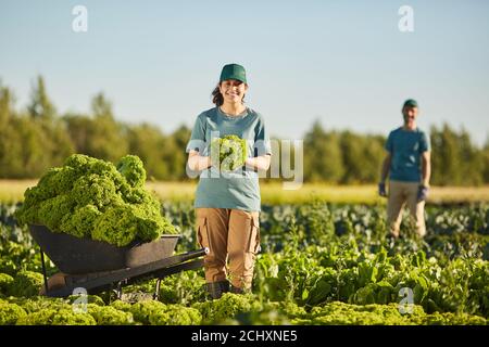 Ampio angolo ritratto di sorridente giovane donna sorridente a macchina fotografica mentre raccogliendo raccolto a piantagione di verdure all'aperto, copia spazio Foto Stock