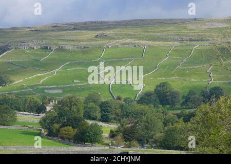 Le viste tipiche delle Yorkshire Dales sono costituite da terreni agricoli e pareti in pietra a secco come qui a Malham nel North Yorkshire. Foto Stock