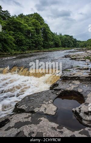 Acqua pura e pulita che scorre lungo le cascate di Aysgarth nello Yorkshire Foto Stock