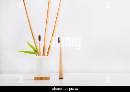 Spazzolini da denti in legno, uno in piedi con canne di bambù fresche e foglie in contenitore bianco con base di bambù e un altro su sfondo bianco. Ecocompatibile, Foto Stock