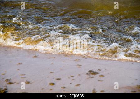 La spiaggia di Sopot è chiusa a causa della fioritura di cianobatteri durante gli ultimi giorni caldi a Danzica, Polonia. 8 Agosto 2020 © Wojciech Strozyk / Alamy Stock Phot Foto Stock