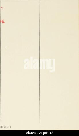 . Catalogo delle edizioni originali e iniziali di alcune delle opere poetiche e prose di scrittori inglesi dal filo al priore . UMVI.RSITY o CALIFORNIA LIBRARY Los Aiigc-lfsQuesto libro È DOVUTO l'ultima data timbrata qui sotto. MAGGIO 2 u 1964 W 7 m Foviii LU-37m-3, 57ao42is4)444. UNIVERSITÀ DELLA CALIFORNIA AL X. ^ ^^58 00464 6S ILILFSLLLLLLLLLT^^^ BIBLIOTECA STRUTTURA AA 001245 518 4 J Foto Stock