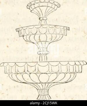 . L'orticoltore e la rivista di arte rurale e gusto rurale . terra, Maine. Un catalogo dei capitali sotto tutti gli aspetti. Special Select Catalog for IShl of Fruit and Ornamental Trees, &c. WRA. F. Smitlf. Rose Cottage Nurseries, in ritardo, Tobins, Augusta, Georgia. OH! per il vostro clima ! II. A. Dreers Catalogo descrittivo di semi di fiori e di giardino, attrezzi, libri, &c., 117 Chestnut Street, vicino a Fourth, Philadelphia. Si tratta di un catalogo molto utile, contenente una varietà di informazioni e istruzioni. R. Buists Seleziona il catalogo di serra, Hothouse, e piante dure, Philadelphia.Fe Foto Stock