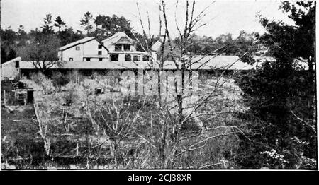 . Il metodo di Robinson di allevamento squabs; un resoconto completo dei nuovi metodi e segreti del più riuscito gestore di piccioni in America .. . 64 UNO DEI. A FEMBBOKE, MASSACHUSETTS. Foto Stock