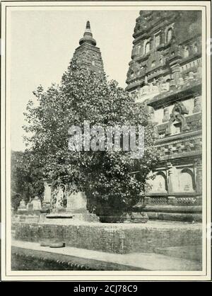 . Inverno India . IL SACRO BO-TEEE E IL TRONO DIAMOIVD, EUDDHA-GAYA. IL CKNTER DELLA IINJVERHE ANL) LA VERANDA OK CONOSCENZA. Winter India di Eliza Ruhamah Scidmore autore di Jinrikisha giorni in Giappone, Giava: Il Giardino dell'Oriente, e la Cina: L'Impero di lunga durata New YorkThe Century Co. 1903 ■- 4» Copyright, 1903, by the Century Co. Pubblicato marzo, IQ03 L'OE VINNE PRE89 ^ V / A CAROLINE TOUSEY BURK.AM L'AMICO DI UN INVERNO INDIANO CONTENUTI CAPITOLO PAGINA i su Indias Coral Strand 3 II Trichinopoli e Tanjore 21 III con Chidambrams Brahmans 34 IV per l'onore e la gloria di Shiva .... Foto Stock