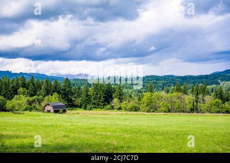 Paesaggio rurale estivo con vecchio fienile di legno rickety in piedi sotto alberi alti al bordo di un prato recintato con erba verde lussureggiante e cielo nuvoloso Foto Stock