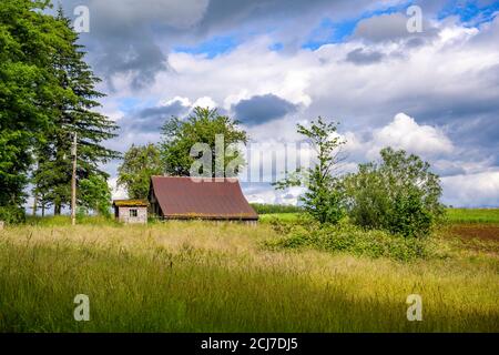 Paesaggio rurale estivo con vecchio fienile di legno rickety in piedi sotto alberi alti al bordo di un prato recintato con erba verde lussureggiante e cielo nuvoloso Foto Stock