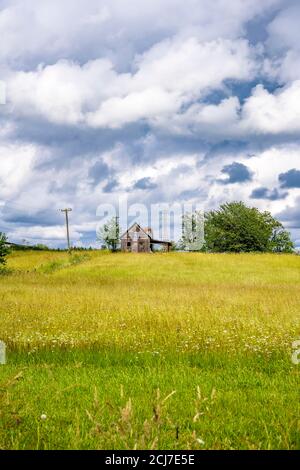 Paesaggio rurale estivo con vecchio fienile di legno rickety in piedi sotto alberi alti al bordo di un prato recintato con erba verde lussureggiante e cielo nuvoloso Foto Stock