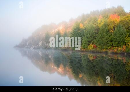 Mattina di autunno foggy, Lake Laurentian Conservation Area, Sudbury, Ontario, Canada. Foto Stock