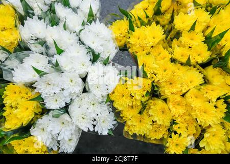 Vista dall'alto dei nuovi garofani in fiore in un negozio di fiori locale, splendidi garofani bianchi e gialli su un marciapiede. Primo piano. Foto Stock
