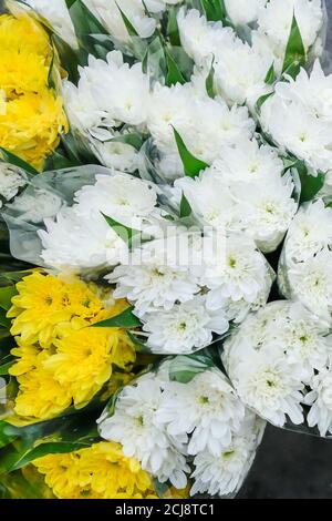 Vista dall'alto dei nuovi garofani in fiore in un negozio di fiori locale, splendidi garofani bianchi e gialli su un marciapiede. Primo piano. Foto Stock