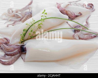 Calamari freschi crudi su tagliere con spezie per insalata aglio al limone, calamari freschi polpo o seppie per cibo cotto al ristorante o mercato di pesce, L Foto Stock