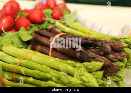 Mazzo di asparagi verdi e violetti Foto Stock