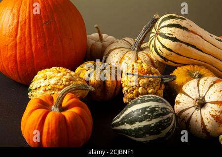 foto di una varietà di zucche, squash e zucche sparse casualmente su sfondi neri e verdi. Un'immagine ideale per la vendemmia autunnale, Halloween, tha Foto Stock