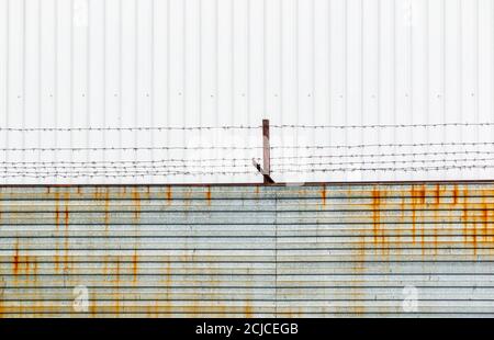 Filo spinato teso su staffe arrugginite montate su una recinzione in lamiera contro un cielo nuvoloso Foto Stock