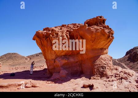 La roccia dei funghi nella valle di Timna. Formazioni rocciose naturali, parco naturale e storico di Timna, Israele, la Valle di Timna si trova nella PARTE sud-occidentale A. Foto Stock