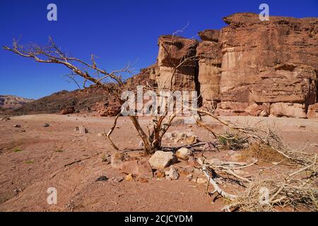 Colonne di Salomone, Valle di Timna, Arava, Israele. Il Parco Naturale e storico di Timna si trova nella parte sud-occidentale di Arava, a circa 30 km. A nord di Gul Foto Stock