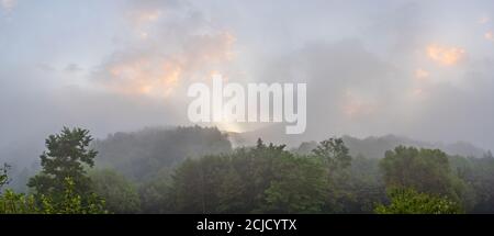 Mattina nebbia nei Carpazi, Ucraina Foto Stock