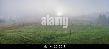Mattina nebbia nei Carpazi, Ucraina Foto Stock