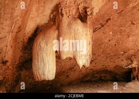 Stalattiti calcaree, stalattiti nella grotta dei pipistrelli di Goa Bangkang Prabu, Lombok, Indonesia Foto Stock