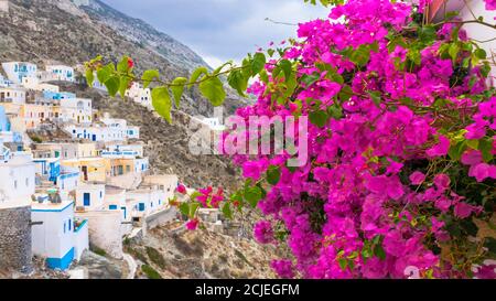 Bougainvillea luminosa e colorata con tradizionale villaggio greco su un pendio di collina con Cappella Bianca, Olympos, Karpathos, Grecia Foto Stock