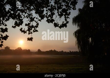 Cowdray Heritage. Rovine della grande casa Tudor distrutta da un incendio nel 1793. Situato a Cowdray Park Estate Midhurst. Rovine atmosferiche Foto Stock