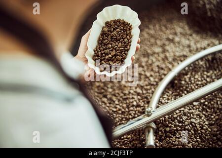 Lavoratore maschile che tiene in mano la ciotola di chicchi di caffè appena tostati Foto Stock
