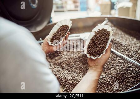 Giovane uomo che controlla la qualità dei chicchi di caffè appena tostati Foto Stock