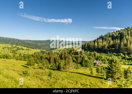 Paesaggio collinare nella Foresta Nera vicino Todtmoos, distretto di Waldshut, Baden-Wuerttemberg, Germania Foto Stock