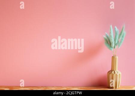 Vaso di lepri verdi (Lagurus ovatus) fiori secchi su tavola di legno con sfondo rosa Foto Stock