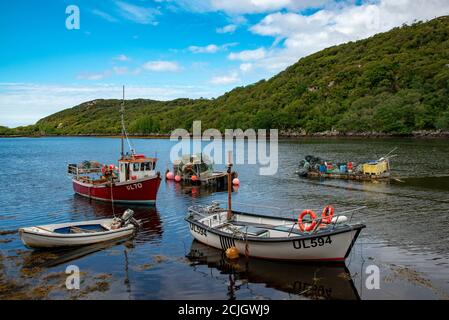 Loch Nedd, Scozia, Regno Unito Foto Stock