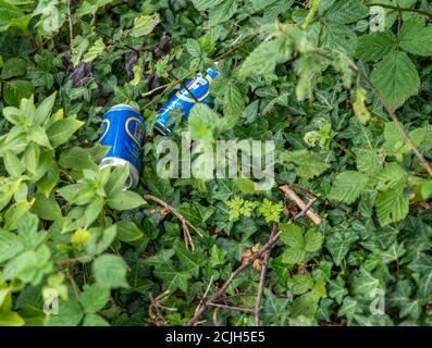 Millington, East Yorkshire, UK, 08/09/2020 - lattine di birra sgardate lasciate sul lato della strada in verde fogliame. Foto Stock