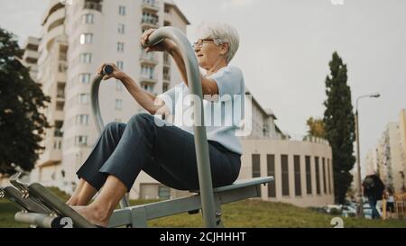 Vecchia prato che si esercita all'aperto palestra parco giochi attrezzature. Foto di alta qualità Foto Stock