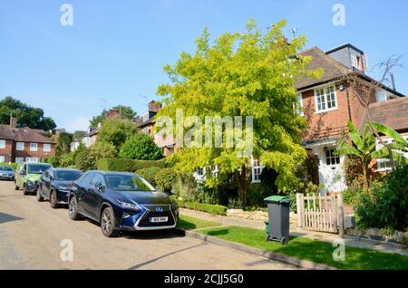 The Chine North london england UK Foto Stock