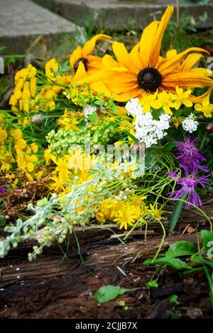 Mix colorato bouquet di erbe aromatiche mediche da wormwood, echinacea, tansy, yarrow, erba di San Giovanni`s, highlander, giorno di sole, immagine verticale Foto Stock