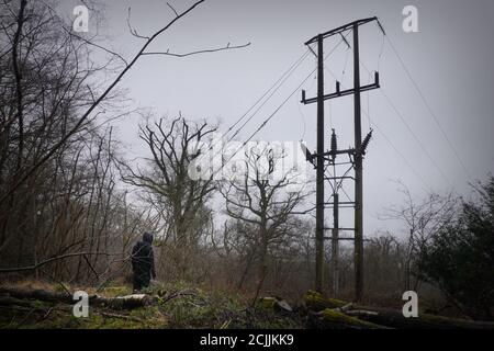 Una figura incappucciata, in piedi in una radura di foresta, guardando in su ad un pilone elettrico. In un giorno di inverni moody. Foto Stock