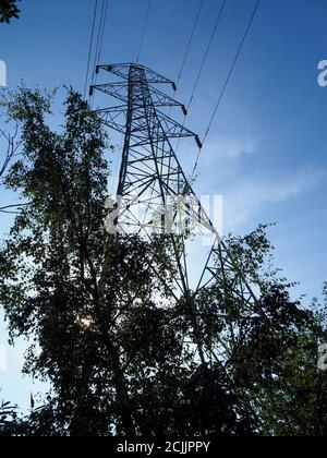 Pilone elettrico alto visto da una prospettiva bassa contro gli alberi e uno sfondo blu cielo Foto Stock