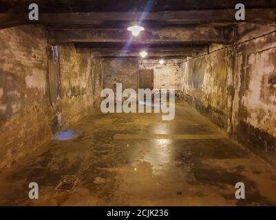 Auschwitz Birkenau, Polen. 25 Agosto 2020. Auschwitz, Polonia 25 agosto 2020: Campo di concentramento di Auschwitz-Birkenau - 25 agosto 2020 crematorio, vista interna, | utilizzo nel mondo Credit: dpa/Alamy Live News Foto Stock