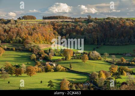 Colori autunnali nelle Cotswolds vicino a Uley, Gloucestershire, Inghilterra Foto Stock