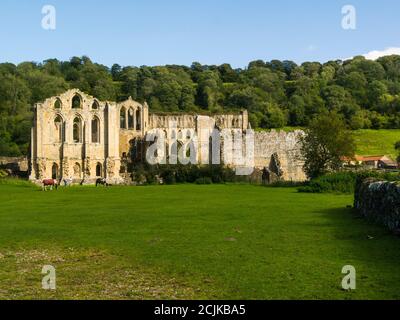 Rovine dell'abbazia di Rievaulx ex Cistercense Abbey North Riding of Yorkshire Inghilterra UK English Heritage Historic Property uno dei grandi cistercensi Monasteri Foto Stock